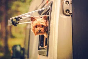 pet-friendly rv parks in texas